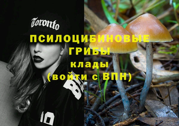 стафф Навашино