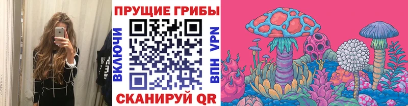 Псилоцибиновые грибы MAGIC MUSHROOMS Нефтекумск