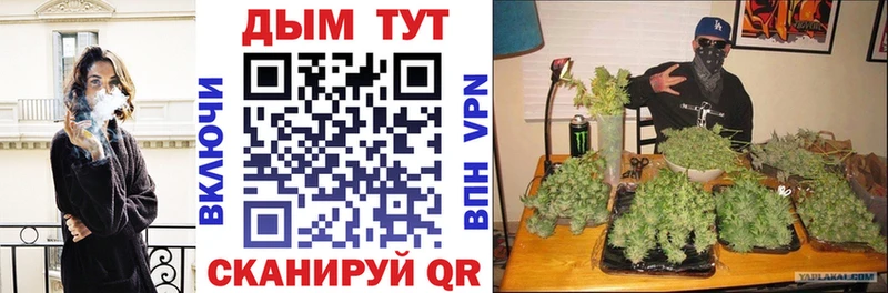 где купить наркоту  Нефтекумск  Бошки марихуана White Widow 